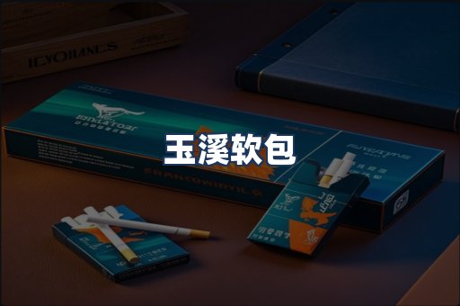 玉溪软包